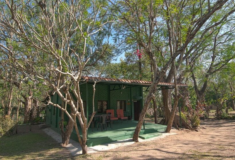 Пансион Bamboo Banks