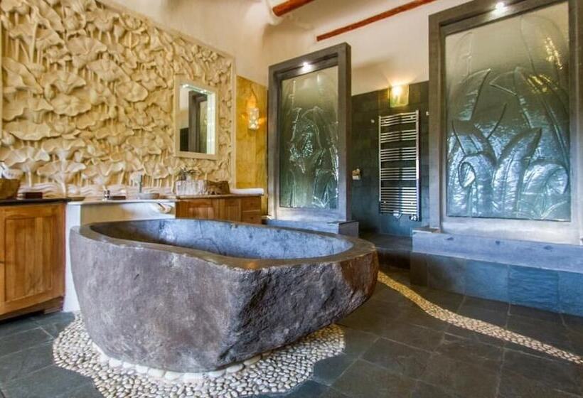 ペンション Domaine De Piscia