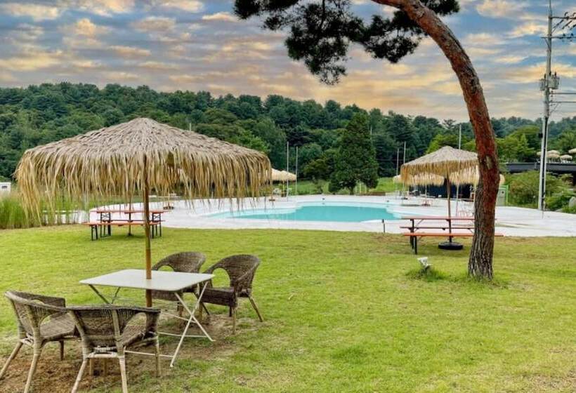 Pensione Gapyeong Tree House