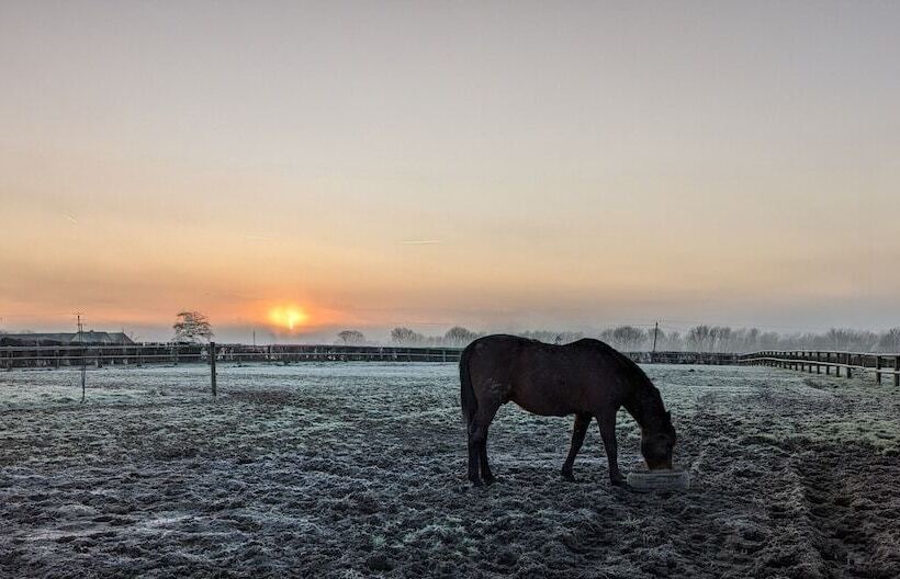 פנסיון Le Gîte Du Haras D Havetot