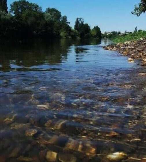 بنسيون Les Hortensias