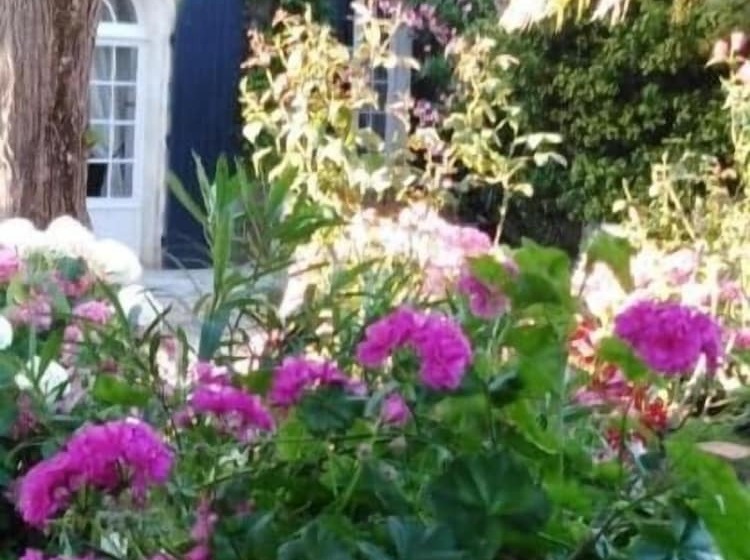 بنسيون Les Hortensias