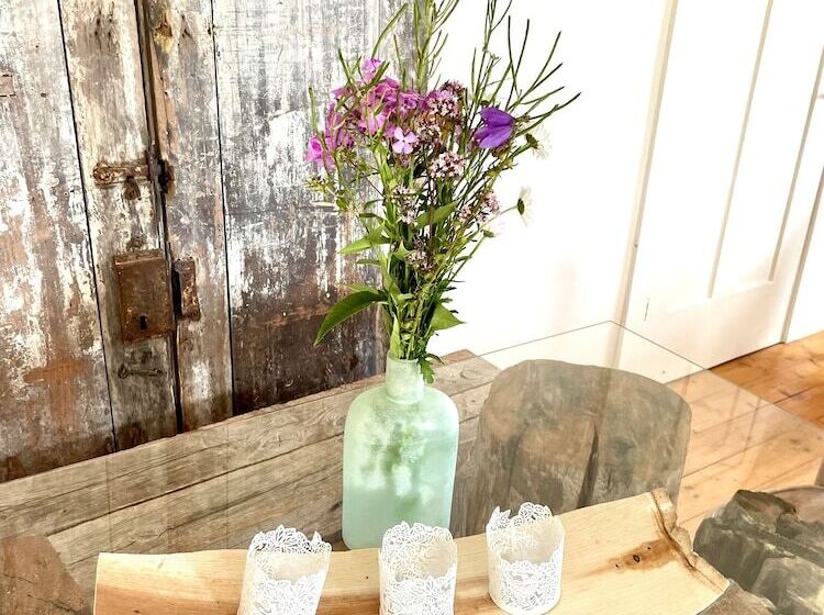 بنسيون Little Bird Inn