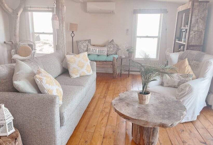 بنسيون Little Bird Inn