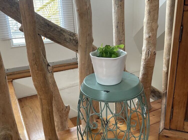 بنسيون Little Bird Inn