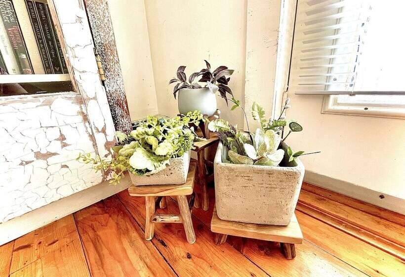 بنسيون Little Bird Inn