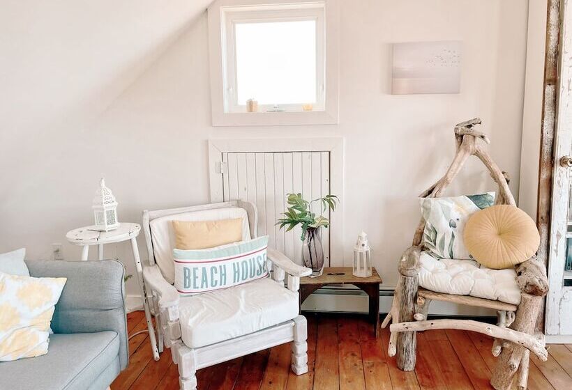 بنسيون Little Bird Inn