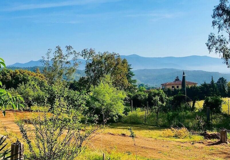 پانسیون Masia Mimosa