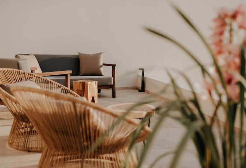 بنسيون Somnus Suites