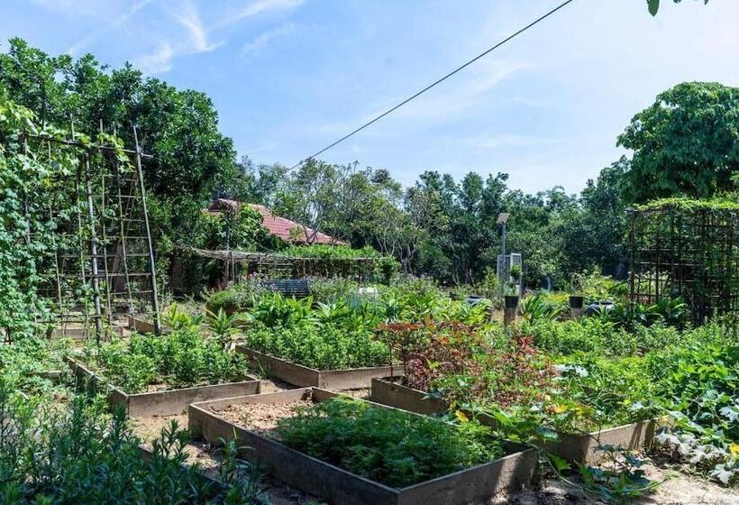 Пансион Thai Gia Trang Farmstay