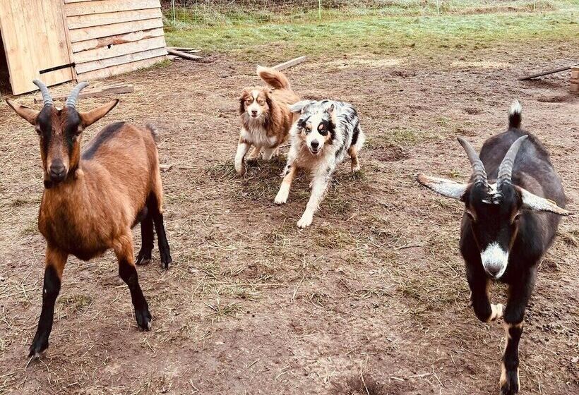 펜션 Une Pause S Impose