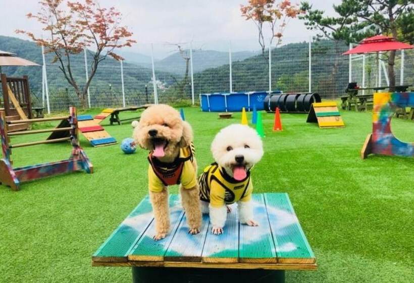 Pensione Yangpyeong Palace Resort