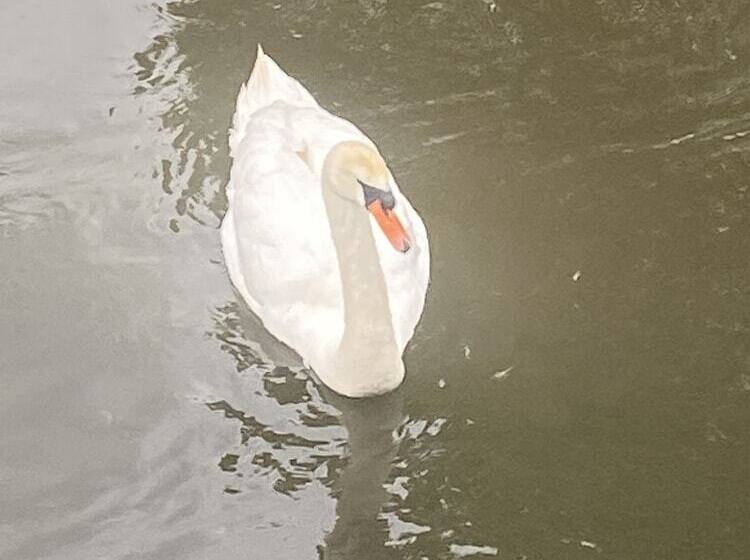 Riverbank Cottage Lake District, Double Balcony