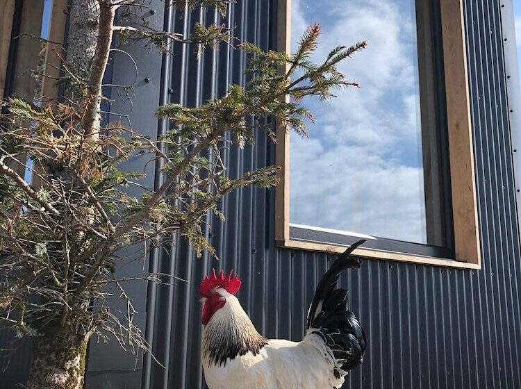 Stunning 1 Bed Tiny Home In Isle Of Skye