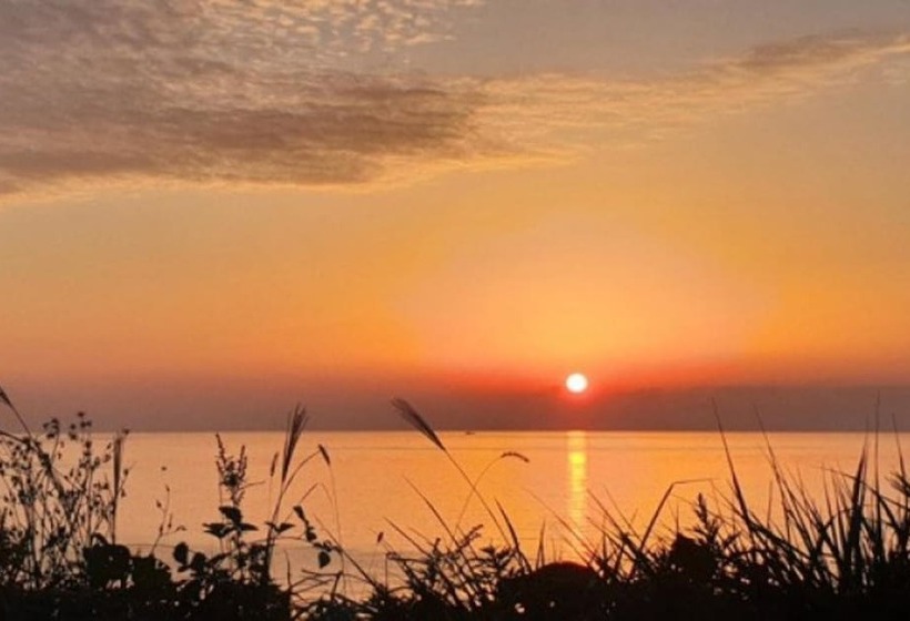 Taean Bohemia Village Pension