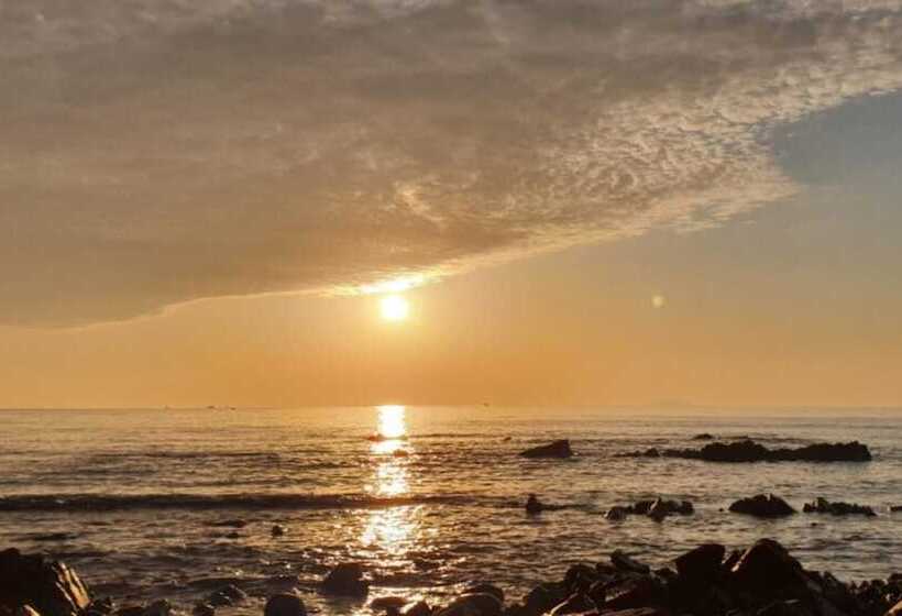 Taean Bohemia Village Pension