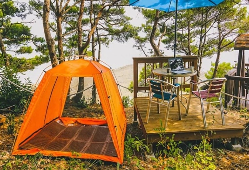 Taean Elvis Pension