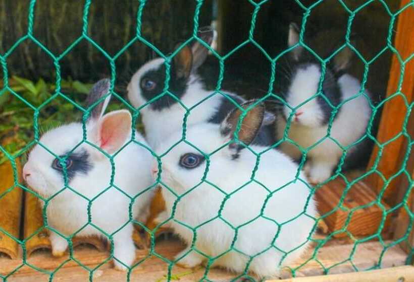 Taean Songjuk Gaheon Pension