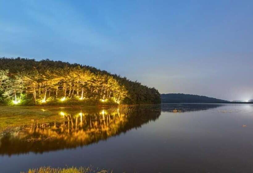 Taean The Nature And Lake Pension