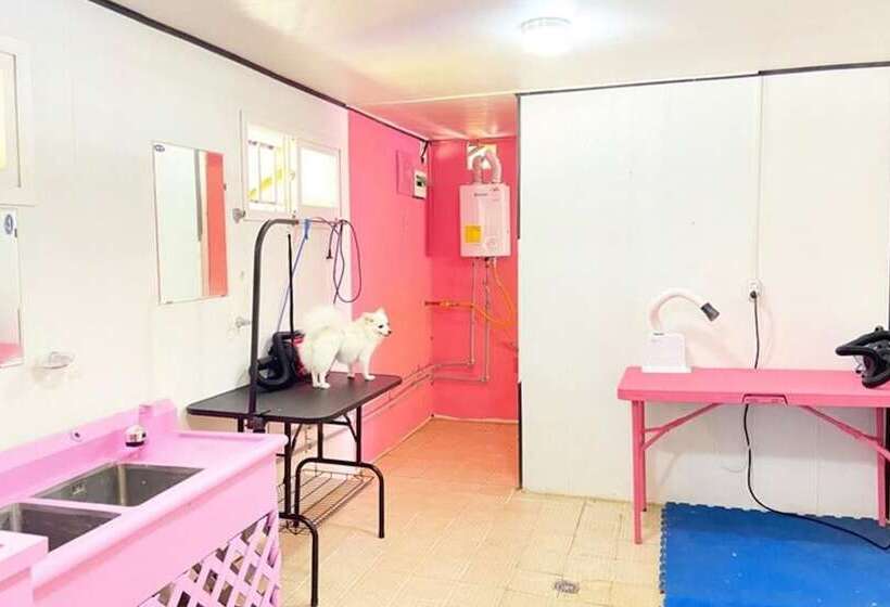 Gapyeong Thank You Dog Pension