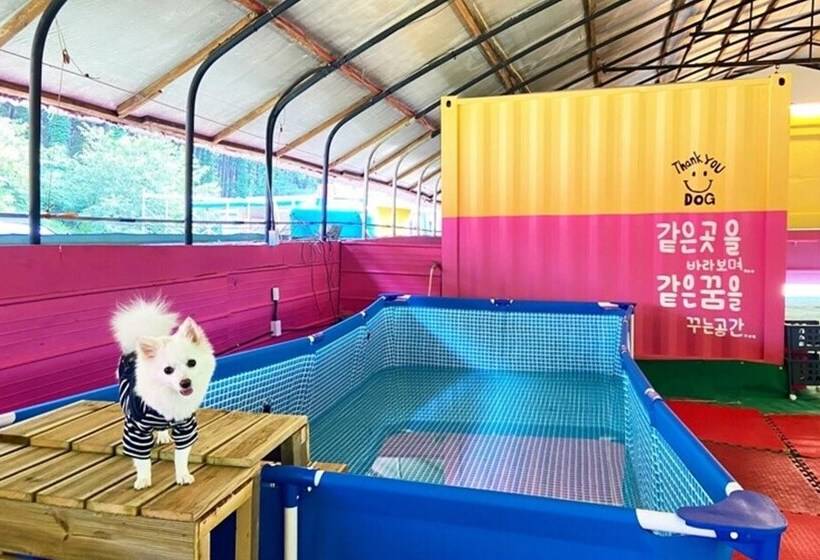 Gapyeong Thank You Dog Pension