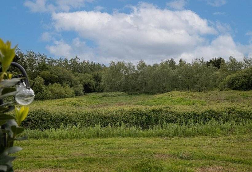 Trefelyn Cottage In Saundersfoot