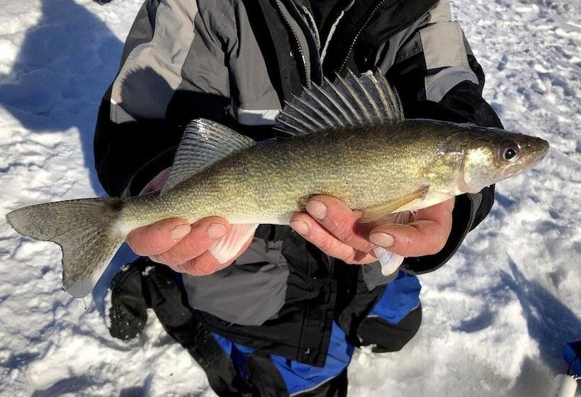Two Bear Lodge On Lost Land Lake