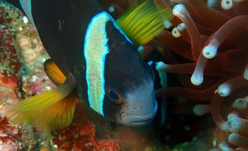 Yuraku Izuoshima  Hostel