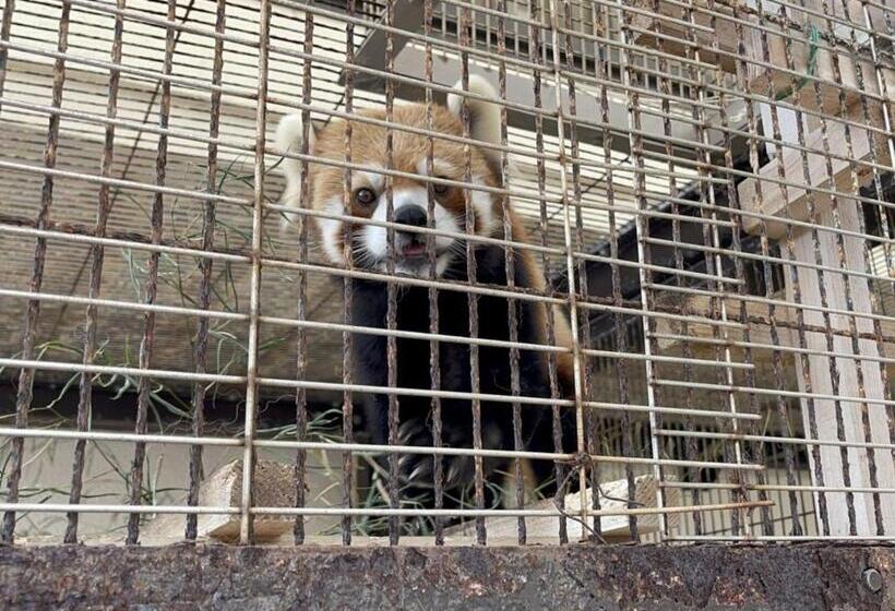 Yuraku Izuoshima  Hostel