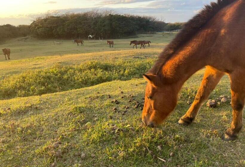 Yuraku Izuoshima  Hostel