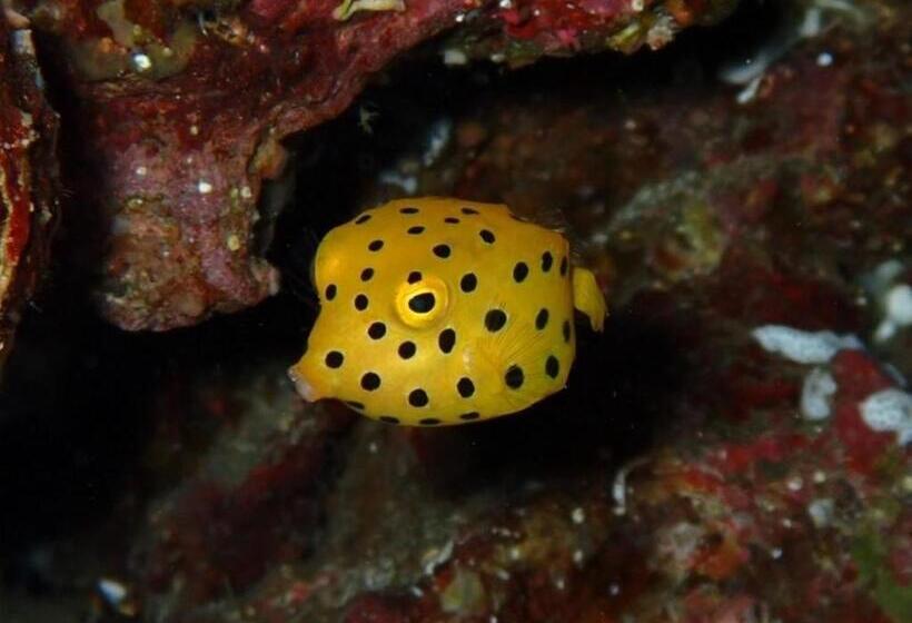 Yuraku Izuoshima  Hostel