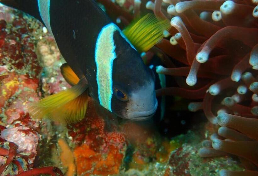 Yuraku Izuoshima  Hostel