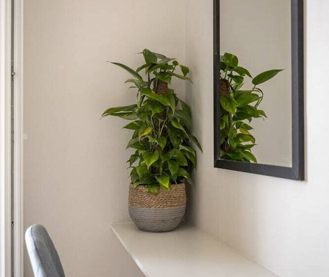 Batelo   Adults Only