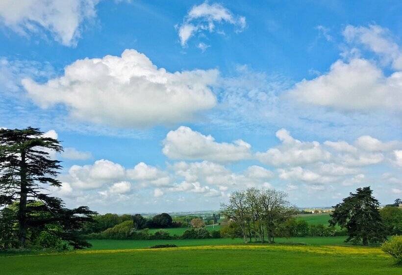 Bed and Breakfast Château De Ternay