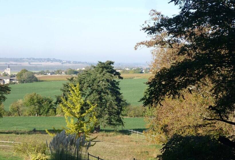 Bed and Breakfast Château De Ternay