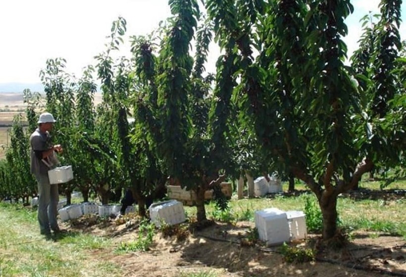 צימר Somercotes