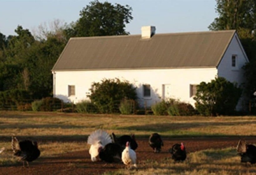 צימר Somercotes