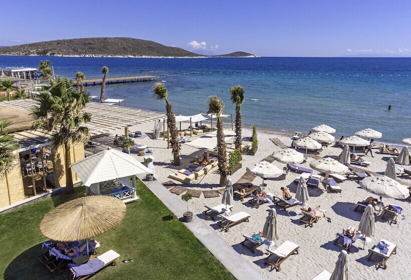 فندق Alaçatı Beach Resort