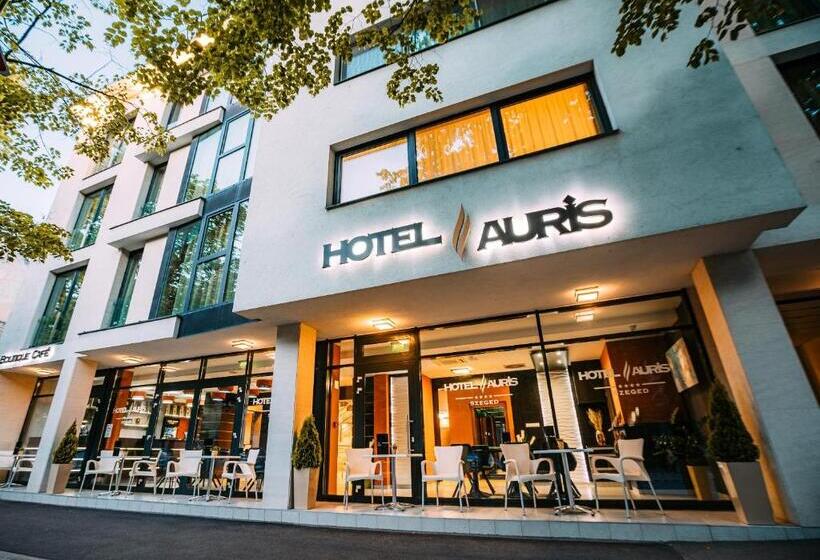 בית מלון כפרי Auris