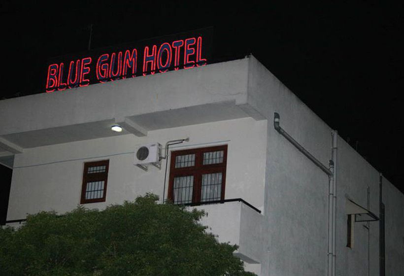 Отель Blue Gum