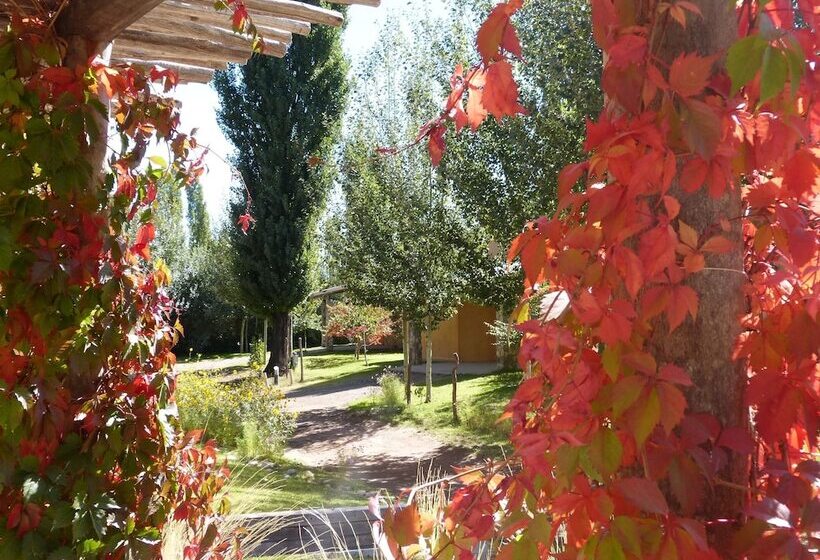 ホテル Cabañas Monte Coiron