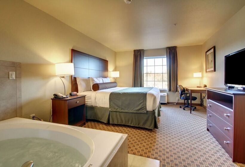 Cobblestone Hotel & Suites   Charlestown