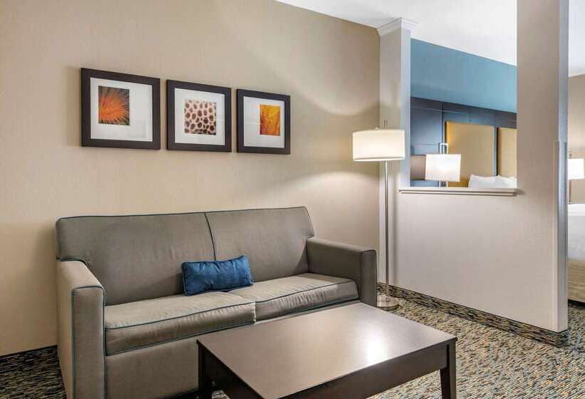 호텔 Comfort Suites Fort Lauderdale Airport South & Cruise Port