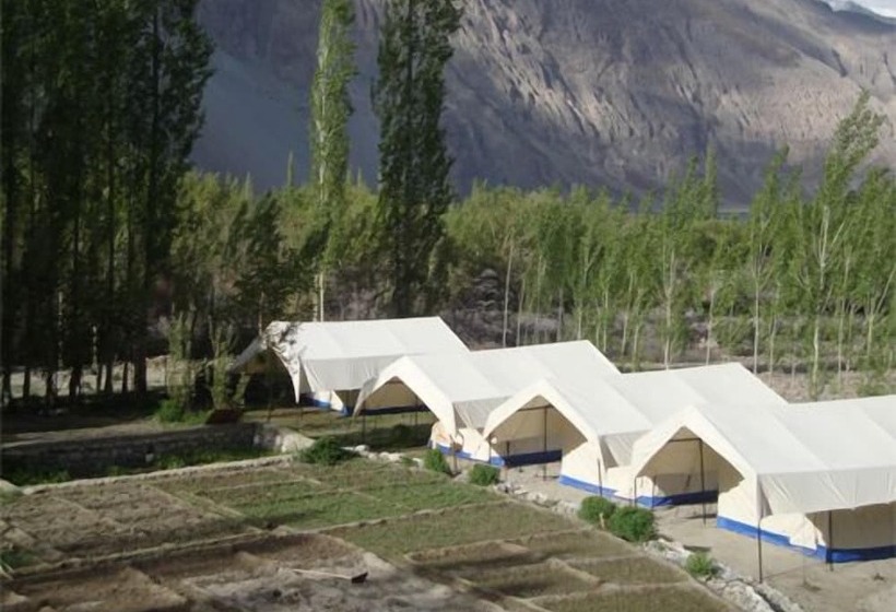 Hotel Double Humped Camp   Hunder