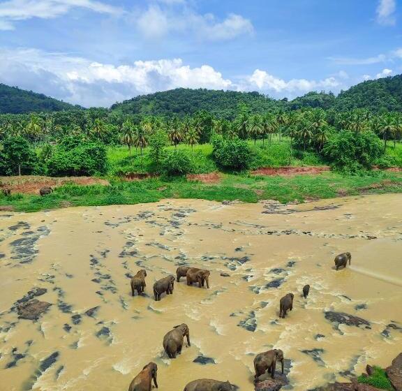 호텔 Elephant Park   New Deal! Half Off Airport Pickups Available