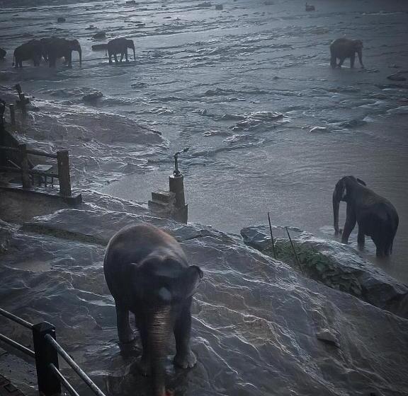 호텔 Elephant Park   New Deal! Half Off Airport Pickups Available