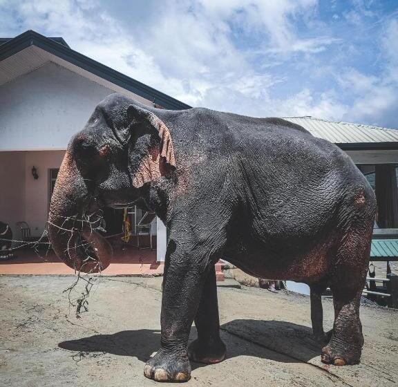 호텔 Elephant Park   New Deal! Half Off Airport Pickups Available