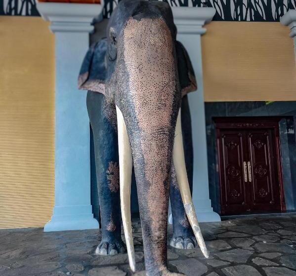 호텔 Elephant Park   New Deal! Half Off Airport Pickups Available