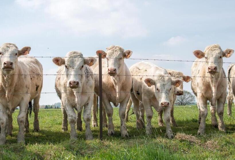 בית מלון כפרי Entre Nous