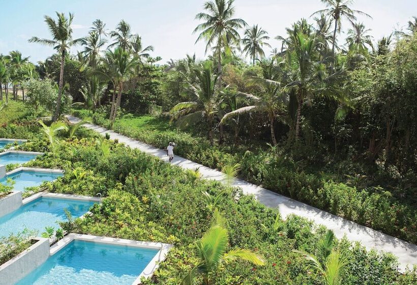 酒店 Excellence El Carmen Adults Only All Inclusive